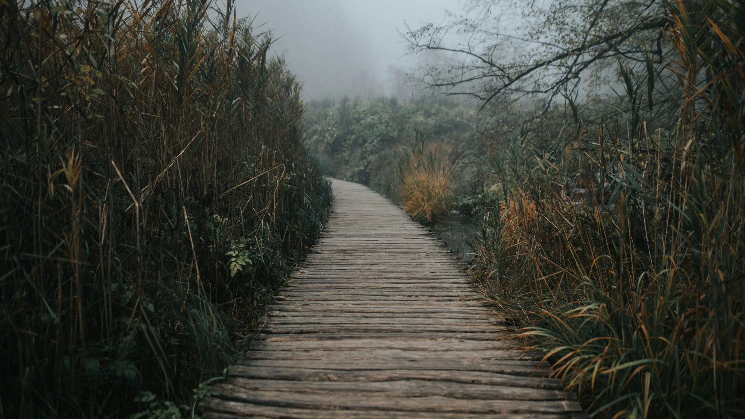Constructing My Aesthetic Path